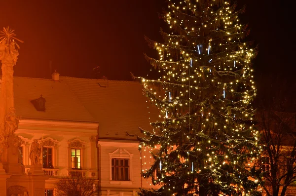 Iluminación de árboles de Navidad en una ciudad europea —  Fotos de Stock