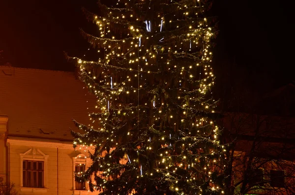 Illuminazione dell'albero di Natale in una città europea — Foto Stock