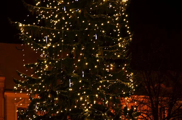 Iluminação de árvore de Natal em uma cidade europeia — Fotografia de Stock