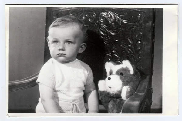 Foto retro de un niño pequeño con oso de peluche. Foto de retrato tomada en estudio fotográfico, alrededor de 1972 . — Foto de Stock