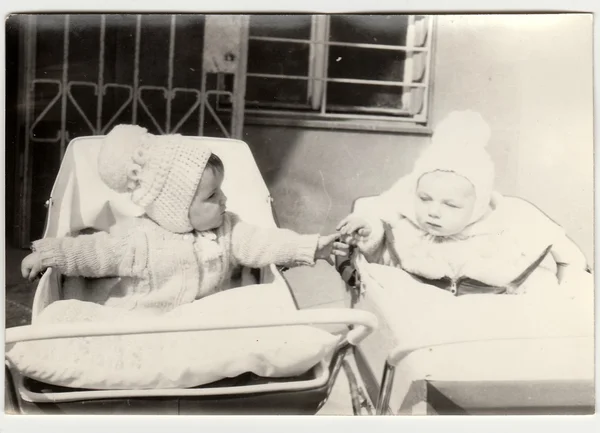 Вінтажні фотографії показують немовлят в лапах (дитячі каррі), близько 1972 року . — стокове фото