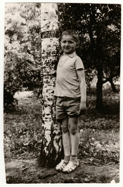 Vintage fotó egy fiatal fiú (13 évesen) a természetben. — Stock Fotó