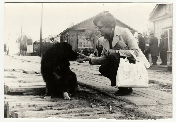 Vintage Fotoğraf kadın vuruş köpek sokakta gösterir. — Stok fotoğraf