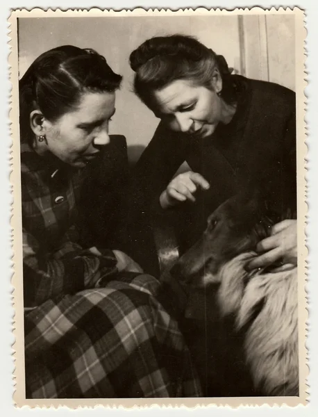 Foto vintage mostra mulheres, um deles acaricia cão . — Fotografia de Stock