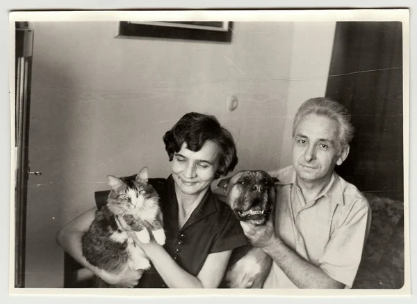 Vintage foto mostra mulher berços gato e homem detém cão . — Fotografia de Stock