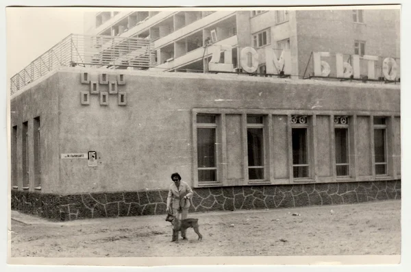 Vintage foto mostra mulher caminha o cão . — Fotografia de Stock