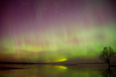 Baltık Denizi üzerinde yoğun kuzey ışıkları (Aurora borealis). Kayalık plaj
