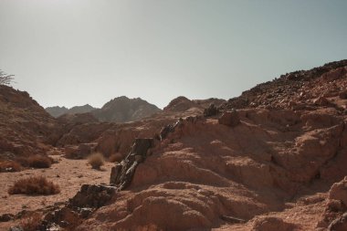Sina Çölü 'ndeki kumtaşı kayaları. Hammada Çölü manzarası. Mısır. Güney Sina. Gazala Vadisi. Duvar Kağıdı