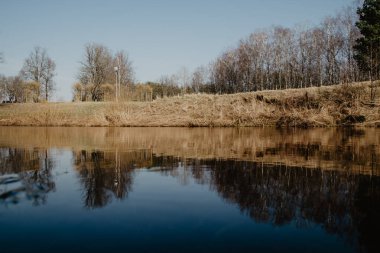 Güneşli yaz gününde mavi göl kıyısında dinlenme kampı. Ağaçlı su gövdesi, karahindiba ve sahilde tekneleri olan yeşil çayır.