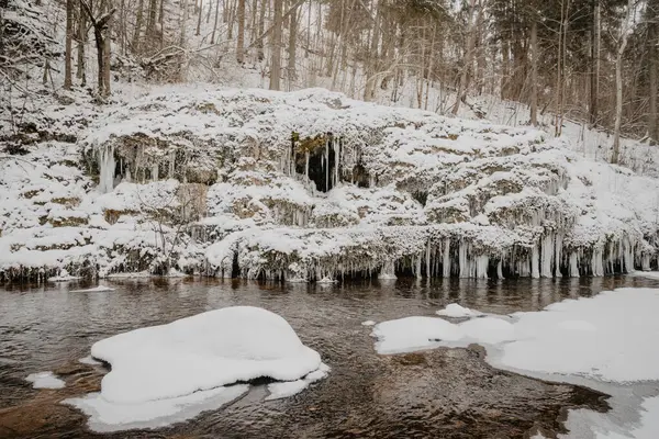 Wild River Forest Winter Rocks Stream Water Sandy Cliffs Ice — Stock Photo, Image