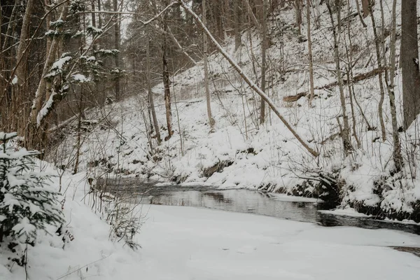 Wild River Forest Winter Rocks Stream Water Sandy Cliffs Ice — Stock Photo, Image