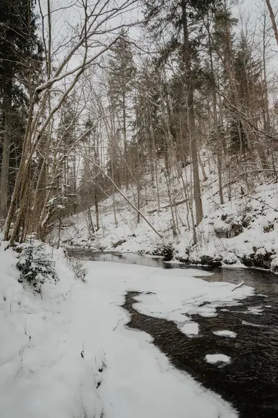 Wild River Forest Winter Rocks Stream Water Sandy Cliffs Ice — Stock Photo, Image