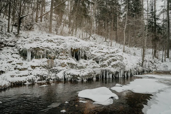 Wild River Forest Winter Rocks Stream Water Sandy Cliffs Ice — Stock Photo, Image