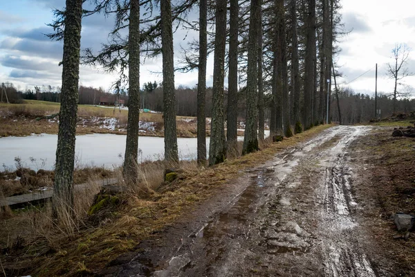 Dirty Mud Road Winter Water Surface Sunny Day Snow — Stock Photo, Image