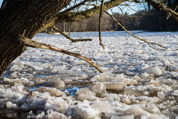 Cracked Ice Floating Springtime Blue Water Mountain Lake Seasonal Winter — Stock Photo, Image