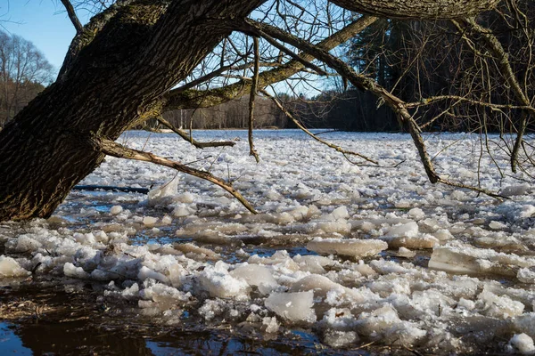 Cracked Ice Floating Springtime Blue Water Mountain Lake Seasonal Winter — Stock Photo, Image