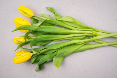 Anneler Günü için gri arkaplanda laleler, düğün davetiyesi, tebrik kartı ve davetiye kartı, çiçek arkaplanı.