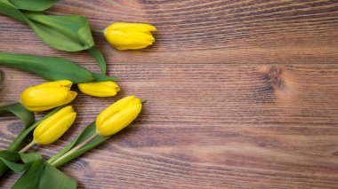 Ahşap zemin üzerinde mesaj için yeri olan laleler. Anneler Günü geçmişi. Üst görünüm