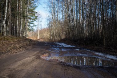Su birikintileri ve çamurlu arazi aracı için kırlarda zorlu bir manzara ve yol. Sonbahar ya da ilkbahar. Arka planda sisli bir orman. Düşmüş yapraklar, çamur, çamur.