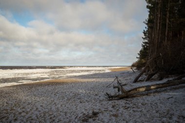 Mavi gökyüzü olan deniz manzarası ve deniz kıyısında buz blokları..