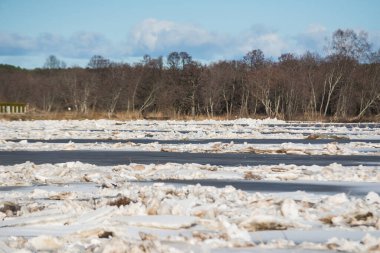 Bahar selleri. Buz bloklarının buz kütlesi oluşturan nehirdeki tortusu.