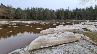 Nehir kıyısında, güneşli havada, orman manzaralı buz parçaları. Mavi gökyüzü