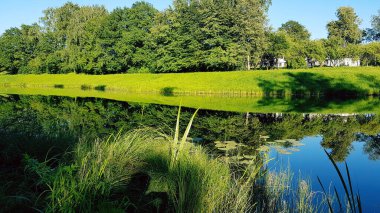 Gölünde ayna olan bir yaz manzarası. Yeşil ağaçlar çimenler ve mavi gökyüzü su otlarıyla dolu huzurlu bir göle yansıyor. Ön planda yeşil çimen