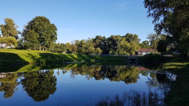Gölünde ayna olan bir yaz manzarası. Yeşil ağaçlar çimenler ve mavi gökyüzü su otlarıyla dolu huzurlu bir göle yansıyor. Ön planda yeşil çimen