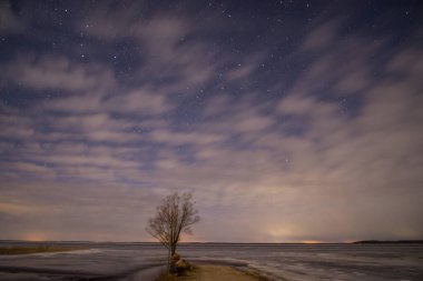 Geceleyin göl kıyısında yalnız bir ağaç yıldızlı gökyüzü ve bulutlarla. Göle giden yol. Gece manzarası. Uzun pozlama