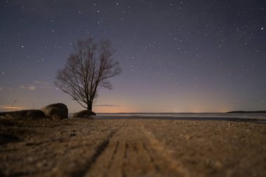 Geceleyin göl kıyısında yalnız bir ağaç yıldızlı gökyüzü ve bulutlarla. Kuzey ışıkları ufukta görünüyor. Göle giden yol. Gece manzarası. Uzun pozlama