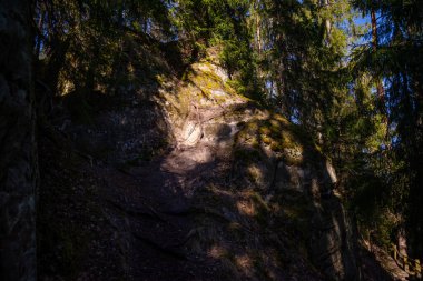 Tahta yolu olan turistik patika ve kumtaşı kayalıklarının yanındaki merdivenler. Letonya 'daki Gauja Nehri. Sietiniezis uçurumu. Turizm merkezi
