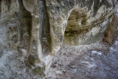 Nehir kıyısındaki kumtaşı kayalıkları. Letonya 'daki Gauja Nehri. yakın çekim fotoğrafçılık