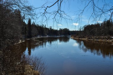 scenic spring river view in forest with foliage tree leaf and low water with rocks and sand in stream. spring landscape