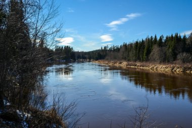 scenic spring river view in forest with foliage tree leaf and low water with rocks and sand in stream. spring landscape