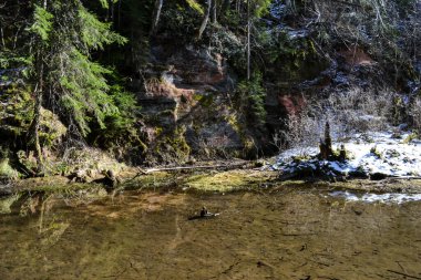 sandstone cliffs on the bank of a forest river with a perfect reflection in the water and green conifers on the bank. Spring landscape