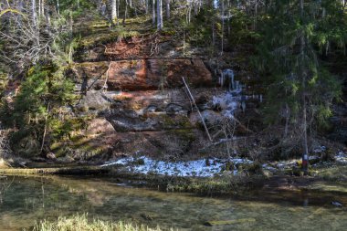 sandstone cliffs on the bank of a forest river with a perfect reflection in the water and green conifers on the bank. Spring landscape