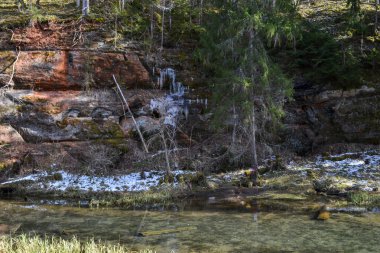 sandstone cliffs on the bank of a forest river with a perfect reflection in the water and green conifers on the bank. Spring landscape