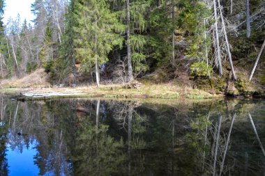 Beautiful river surrounded by forest with perfectly clean water with a beautiful reflection of the forest landscape and green trees. Spring landscape
