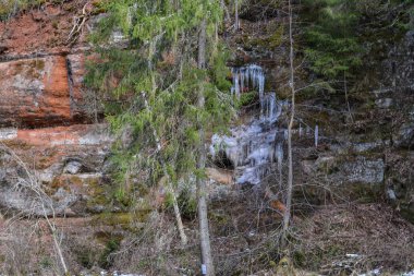 sandstone cliff pattern with orange clay rock and green trees in the foreground. Water icicles are frozen in the rock. Prefect background