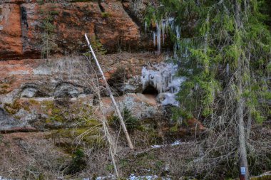 sandstone cliff pattern with orange clay rock and green trees in the foreground. Water icicles are frozen in the rock. Prefect background