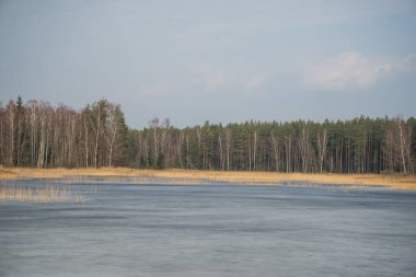 Buz gölü buz ve karla kaplı. Kahverengi sazlıklar buzun içinde büyür. Buz pateni pisti gibi. Mavi gökyüzü ile güneşli bir bahar manzarası.