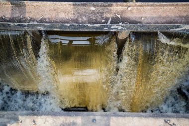 Bir ilkbahar günü akan su kilitlenir. Su köpük oluşturur. Ilık bir bahar günü