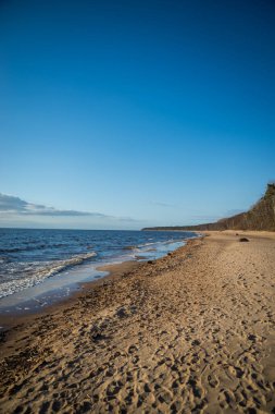 Mavi deniz suyunun dalgalarıyla yıkanan ve beyaz köpük oluşturan ve kumu yıkayan sahilin kıyısı. Kurumuş ahşap bir kütük kıyıda görülebilir.