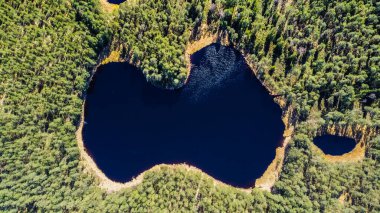 Aerial shot. A lake of blue water that resembles the contour of the Latvian state with the reflection of white cumulus clouds in the water, surrounded by a pine forest. Drone photography clipart