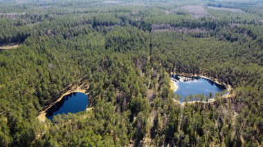 An almost perfect circular lakes shot straight down from the air resembles the earth surrounded by a pine forest. Drone photography
