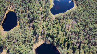 Aerial shot.Perfectly blue water lake with smaller lakes next to it, shot directly from the air, reminiscent of a land surrounded by a pine forest. Drone photography