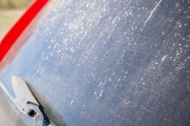 rear windshield with wipers dirty car in a layer of dry dirt and dust, close-up on the theme of the car. car photography