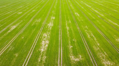 aerial view over the green fields of early summer and the double carriageway from the air. summer landscape. aerial shot.
