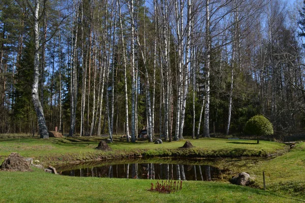 Teich Einem Erholungsgebiet Wald Mit Roten Kräutern Einem Warmen Sommertag — Stockfoto