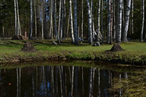 Staw Strefie Rekreacyjnej Lesie Czerwonymi Ziołami Ciepły Letni Dzień Krajobraz — Zdjęcie stockowe